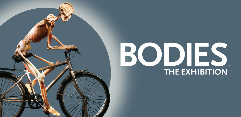 bicycles muscles cigarettes pdf Raymond Carver: "Bicycles, Mucles, Cigarettes" by Laura Hulstein on Prezi "Bicycles, Muscles, Cigarets" by Raymond