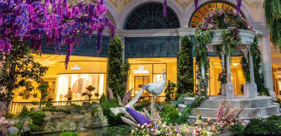 Bellagio Conservatory and Botanical Gardens in Las Vegas blossoms